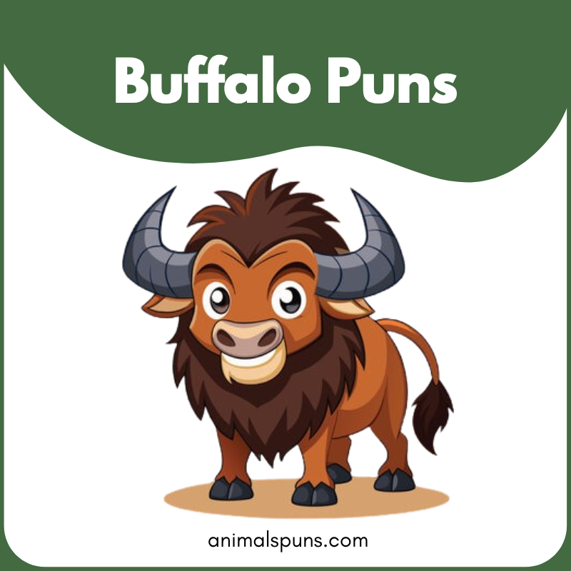 Buffalo Puns