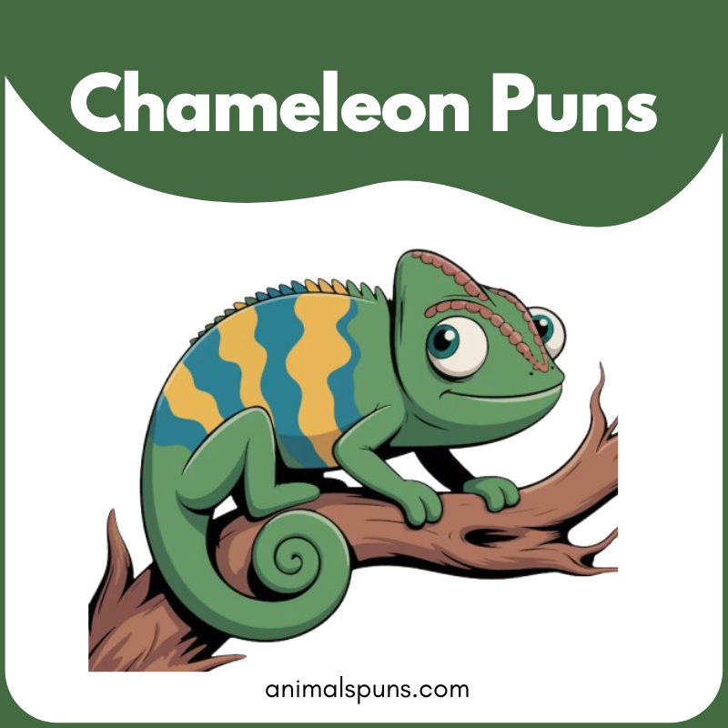 Chameleon Puns