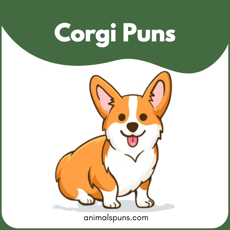 Corgi Puns