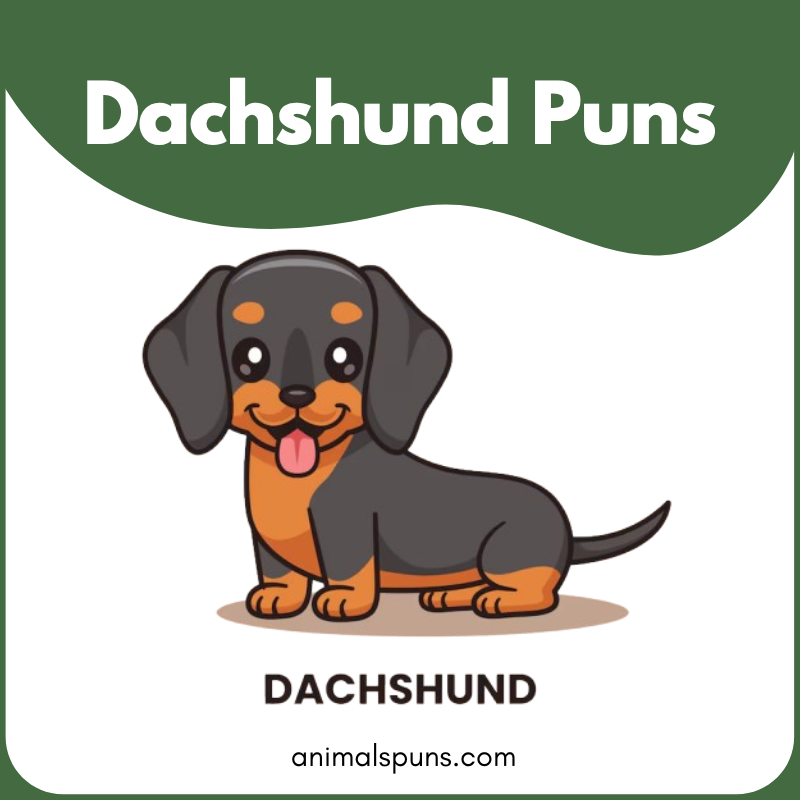Dachshund Puns