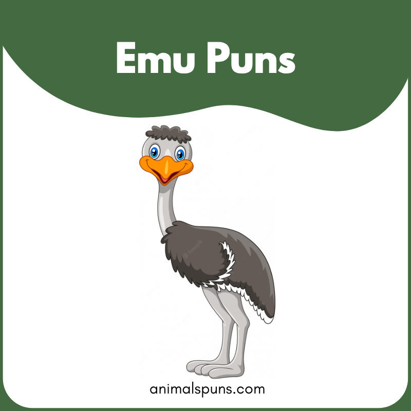 Emu Puns