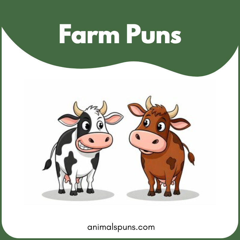 Farm Puns