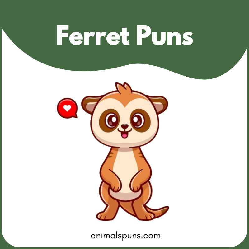 Ferret Puns