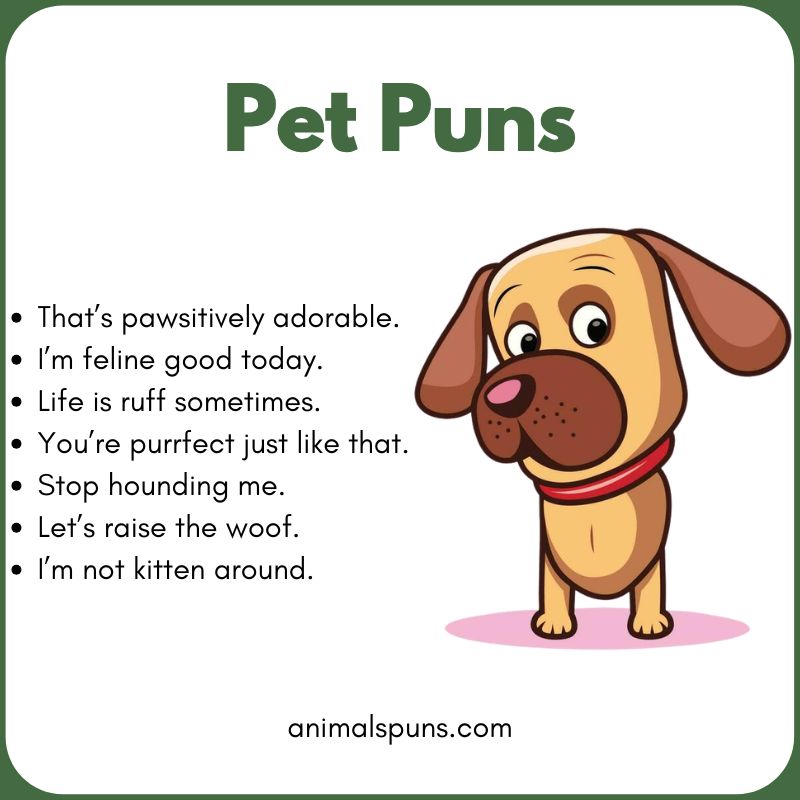 Pet Puns