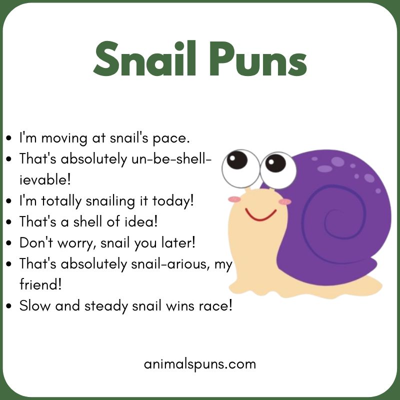 Snail Puns