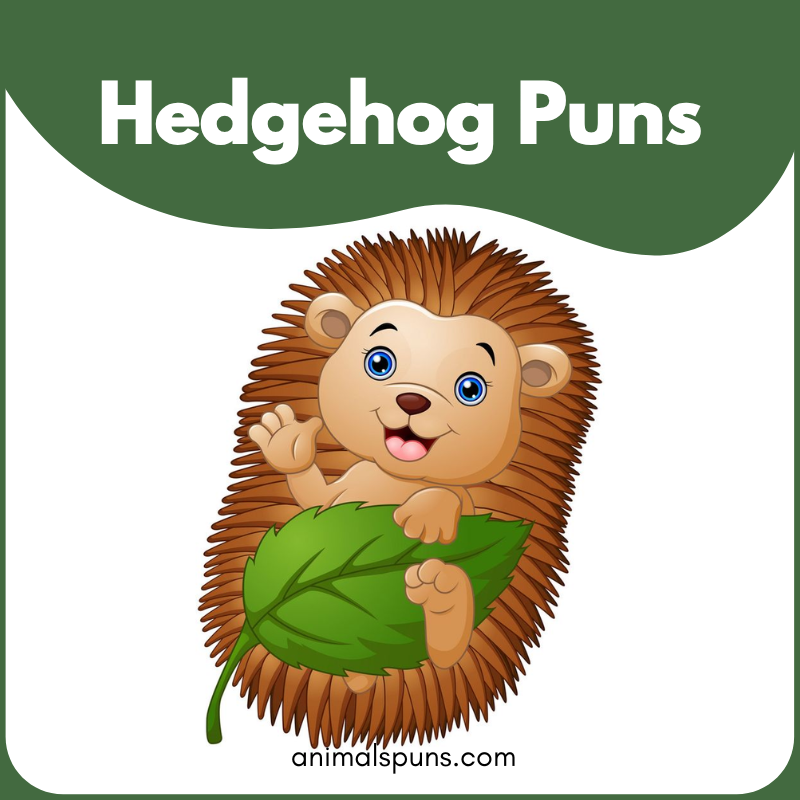 Hedgehog Puns