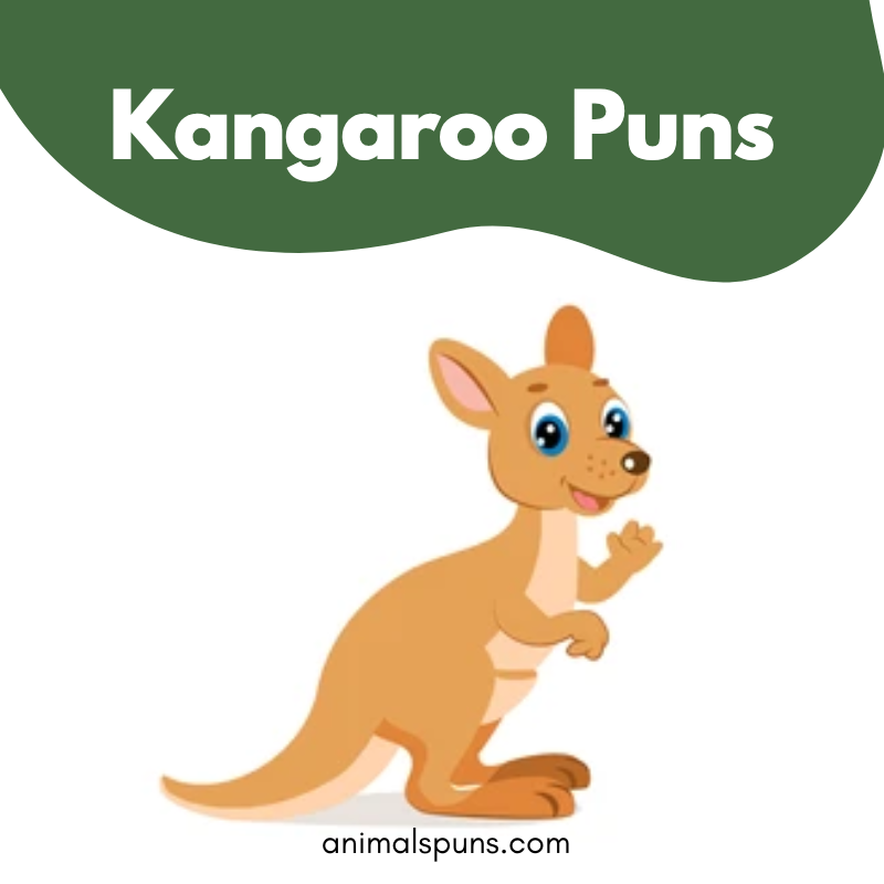 Kangaroo Puns