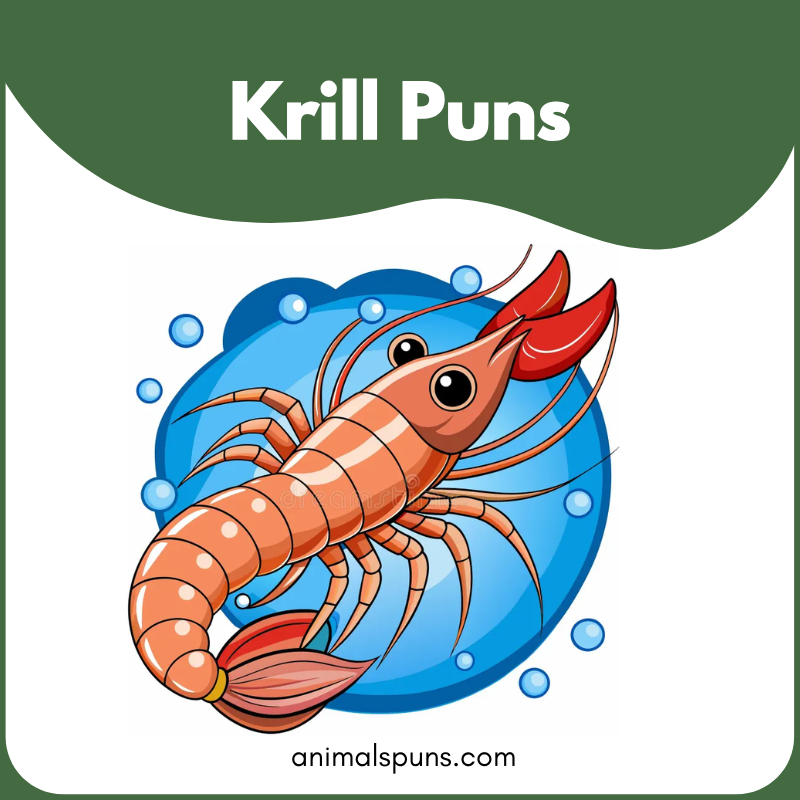 Krill Puns