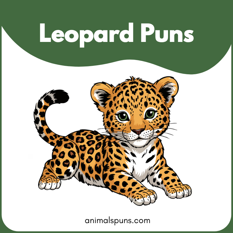Leopard Puns