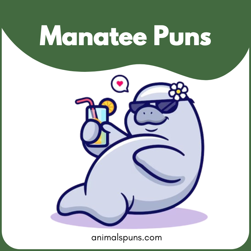 Manatee Puns