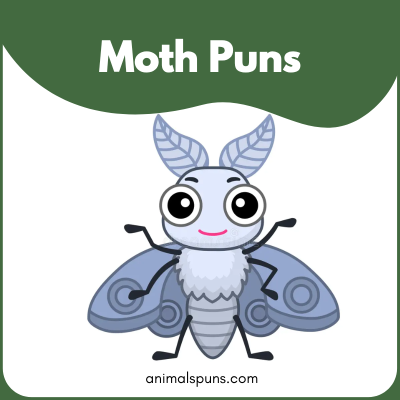 Moth Puns