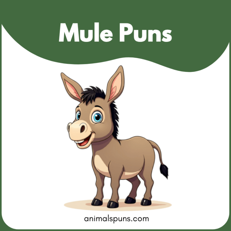 Animal Puns | Funny & Cute Puns for Every Animal
