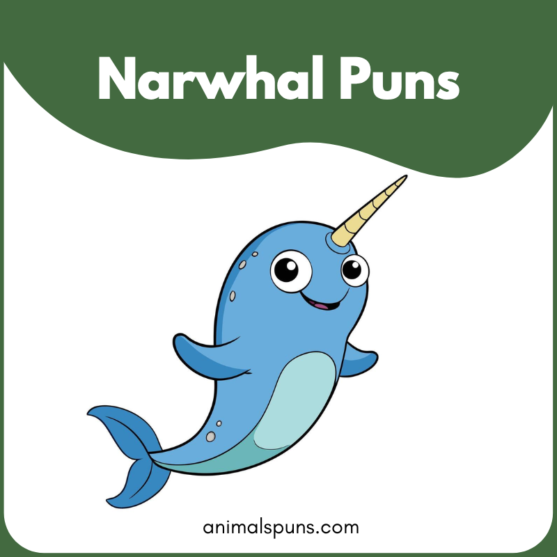 Narwhal Puns