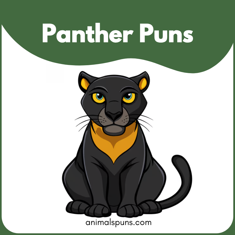 Panther Puns