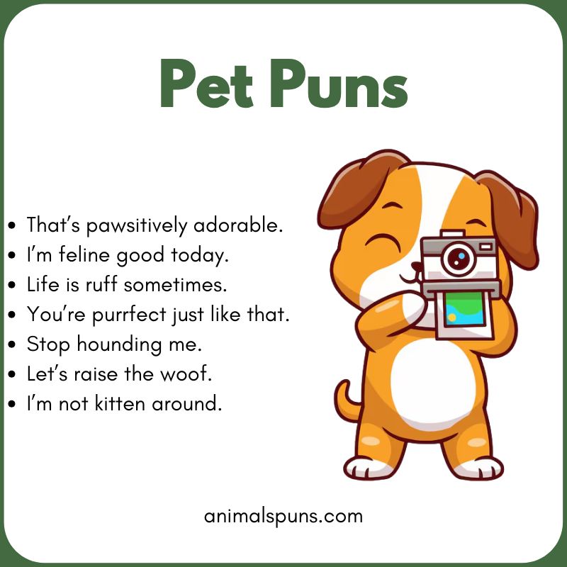 Pet Puns