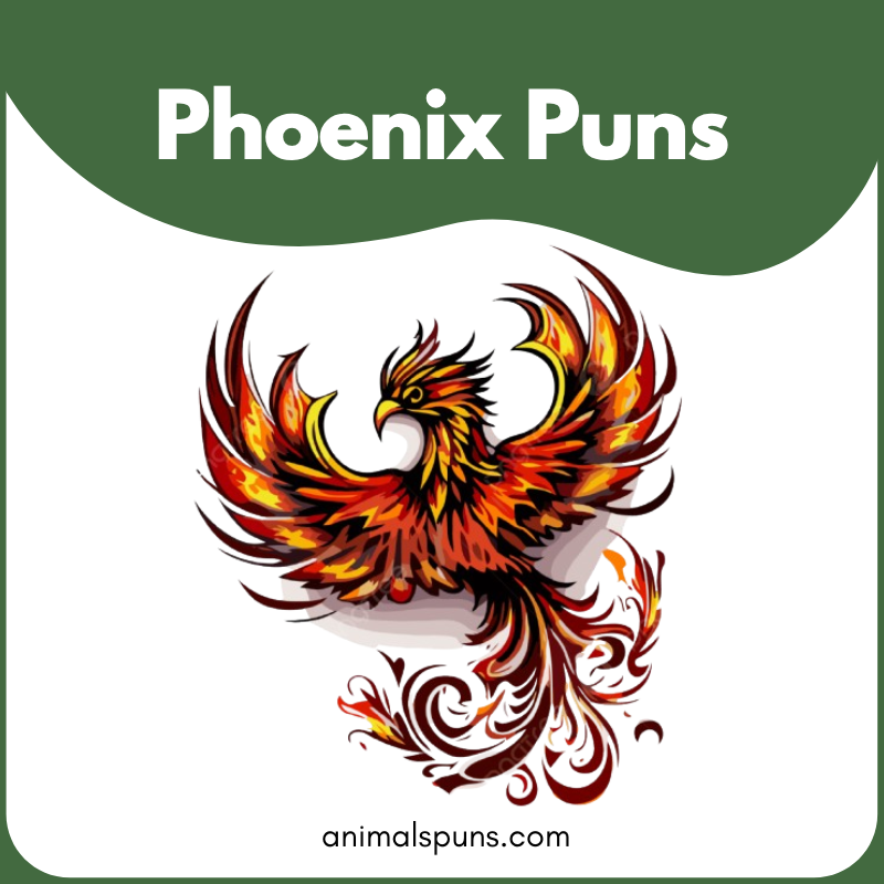 Phoenix Puns