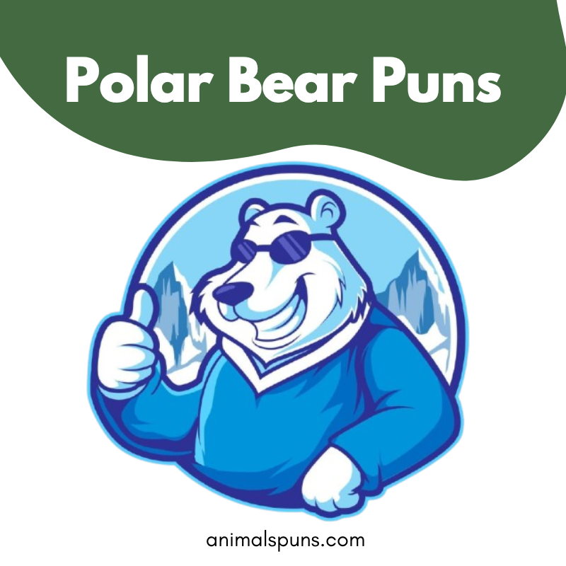 Polar Bear Puns
