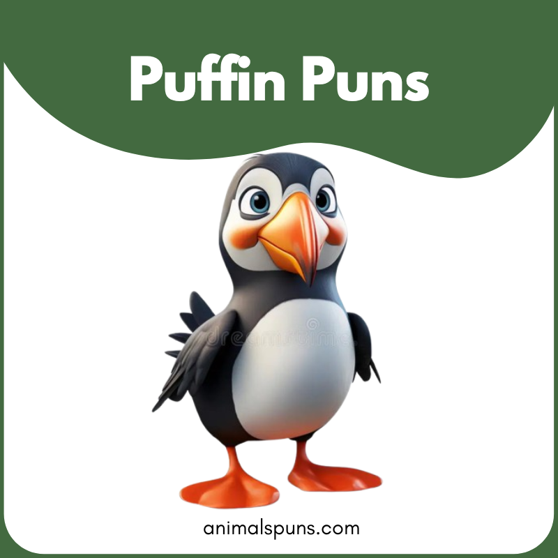Puffin Puns