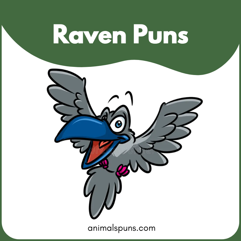 Raven Puns