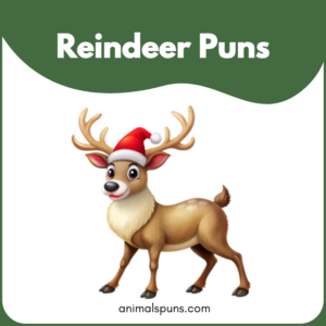 Reindeer Puns