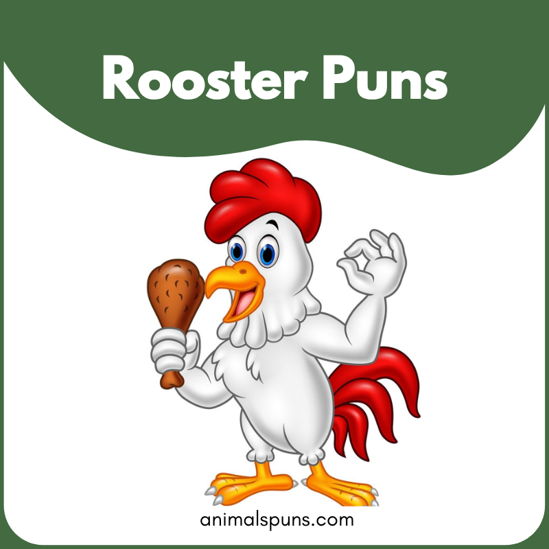 Rooster Puns