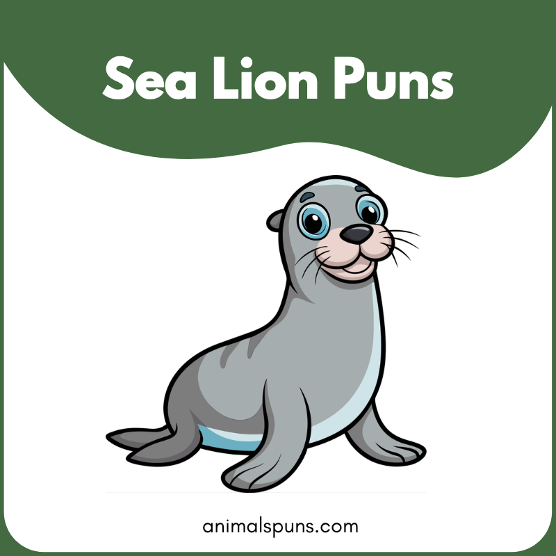 Sea Lion Puns