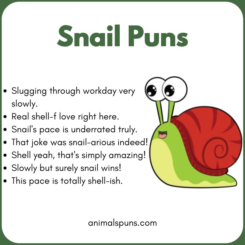 snail puns