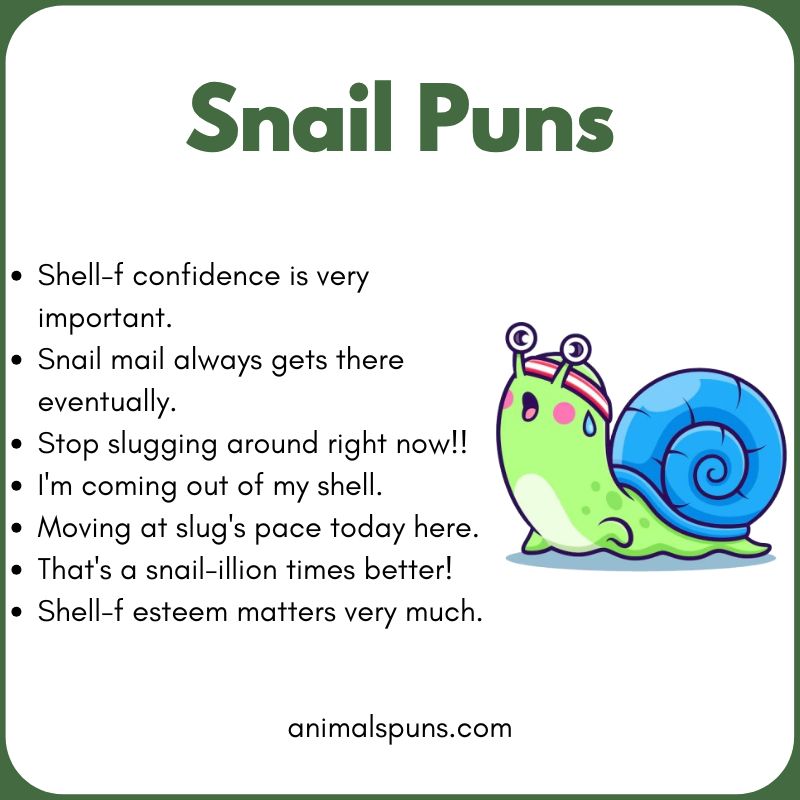 Snail Puns