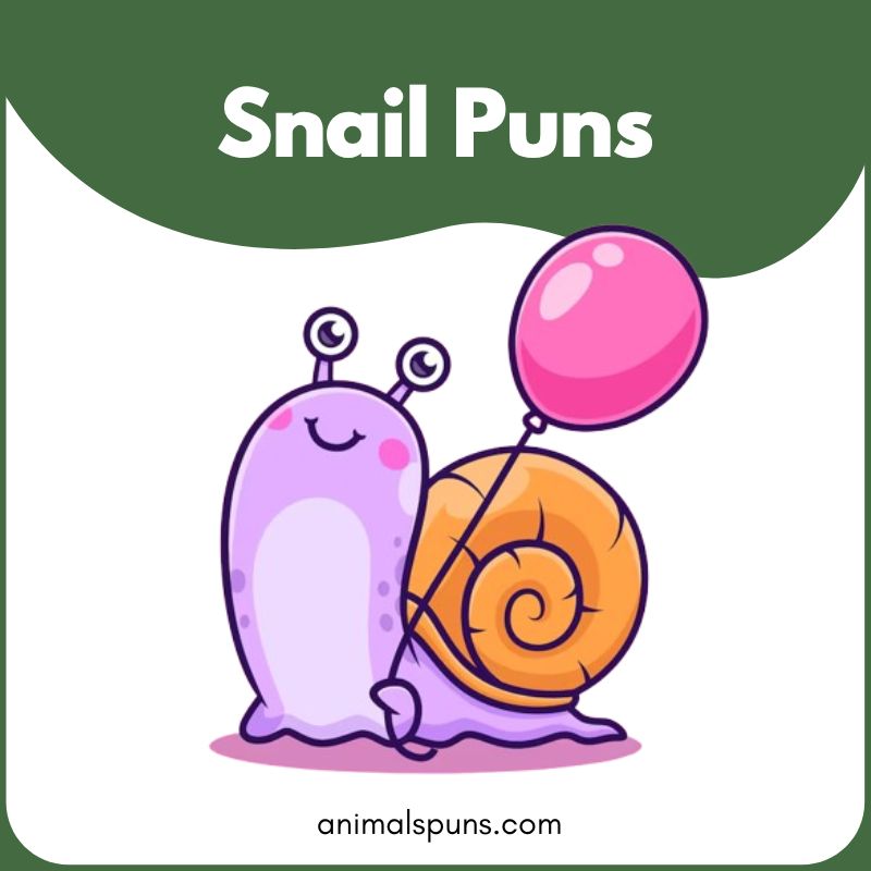 Snail Puns