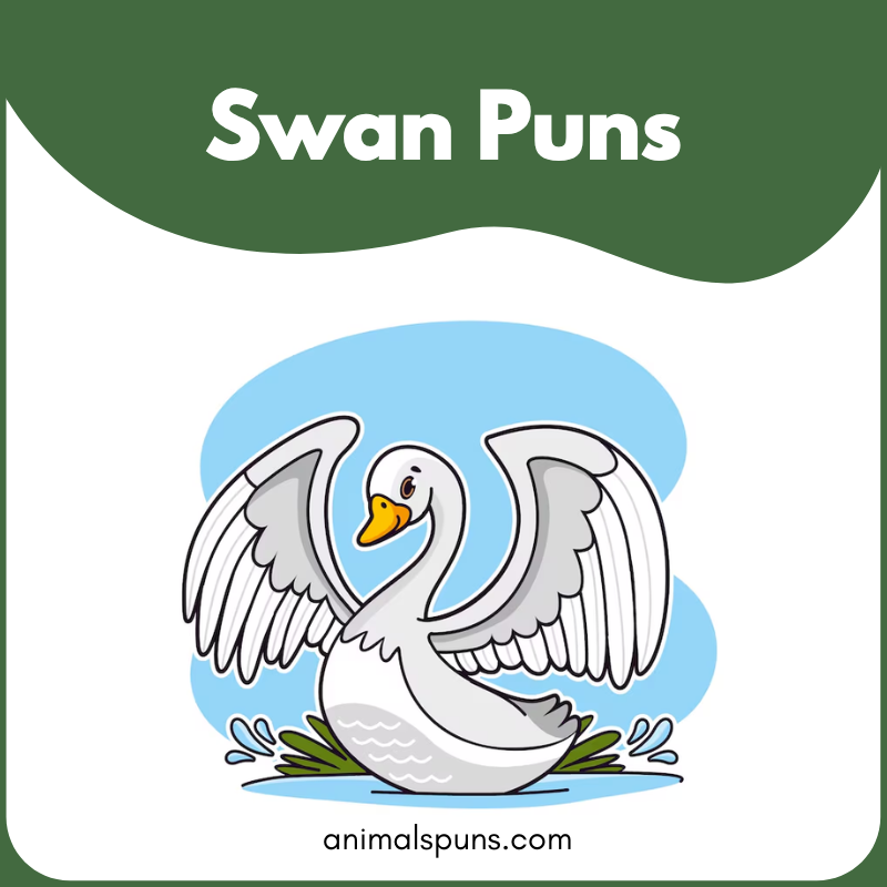 Swan Puns