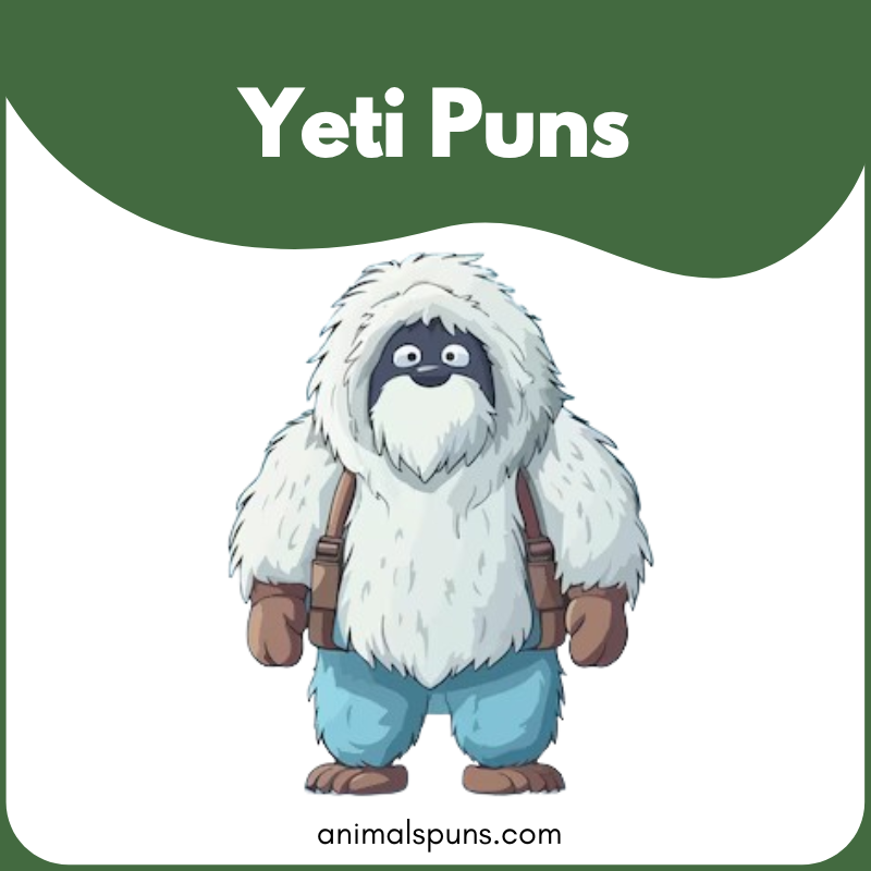 Yeti Puns