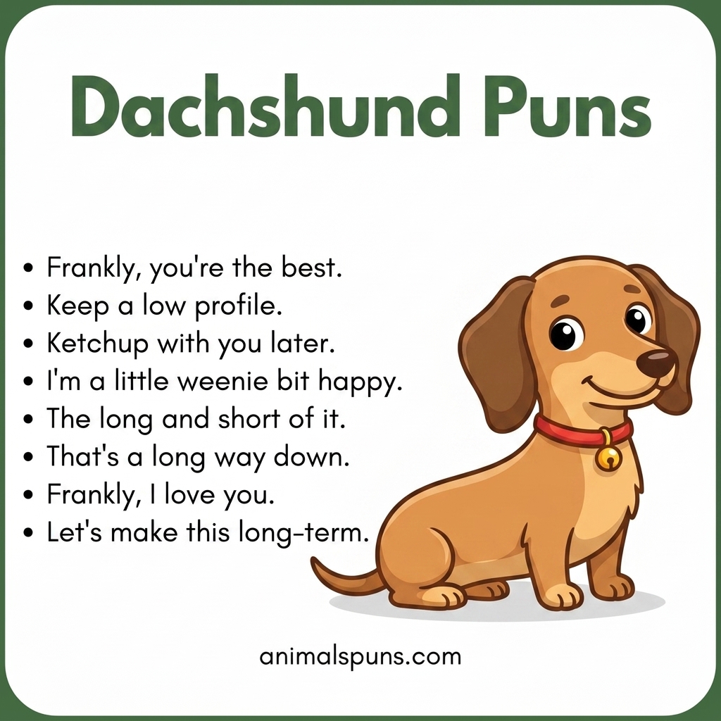 Dachshund Puns