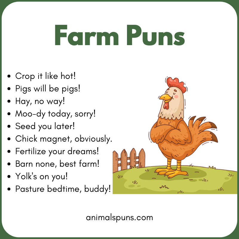 Farm Puns
