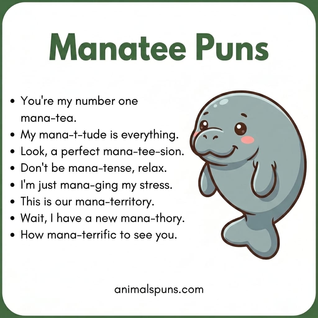 Manatee Puns