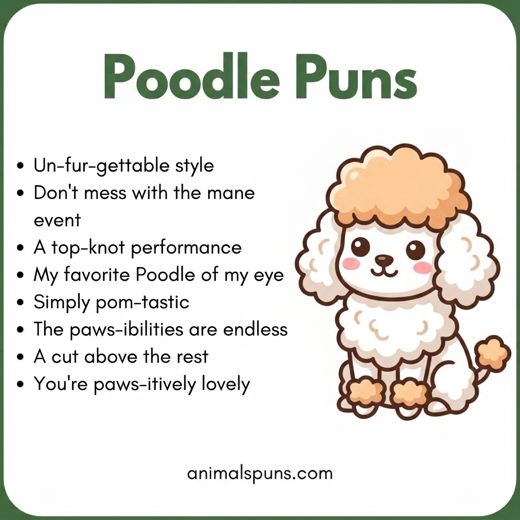 Poodle Puns