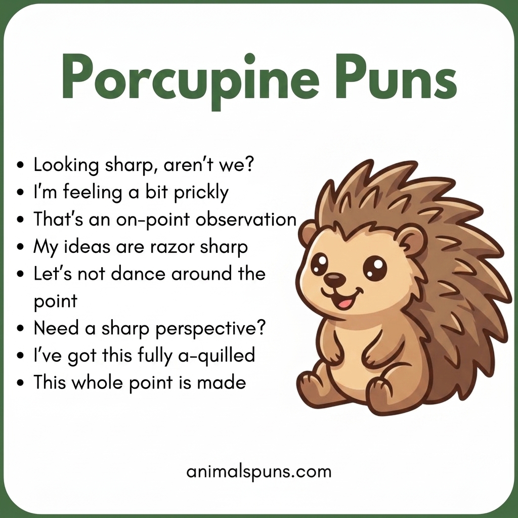Porcupine Puns