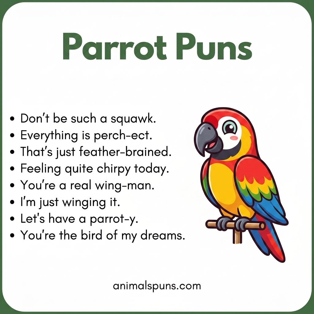 Parrot Puns 