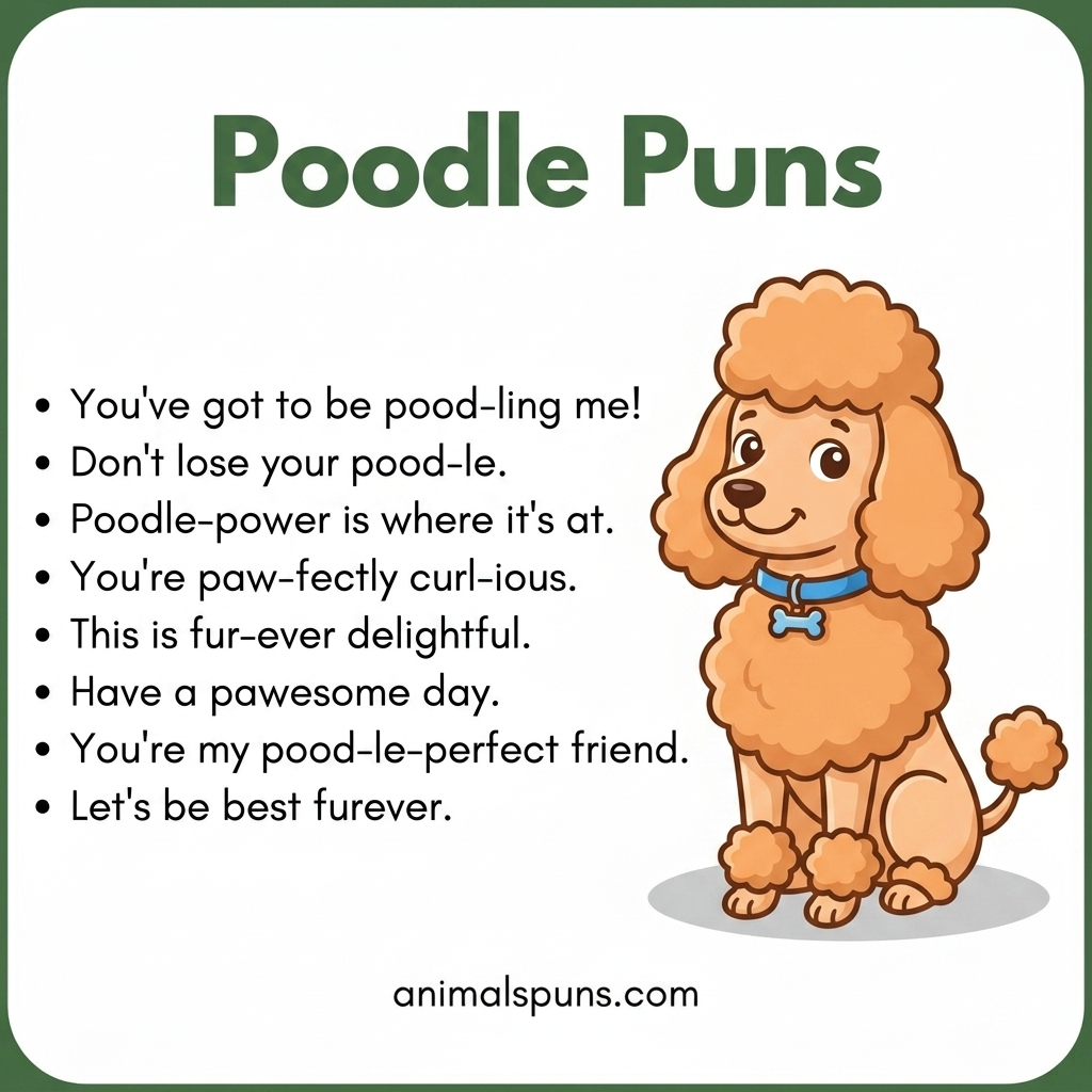 Poodle Puns