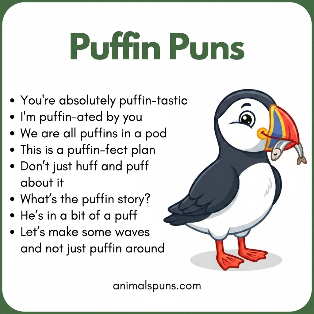 Puffin Puns