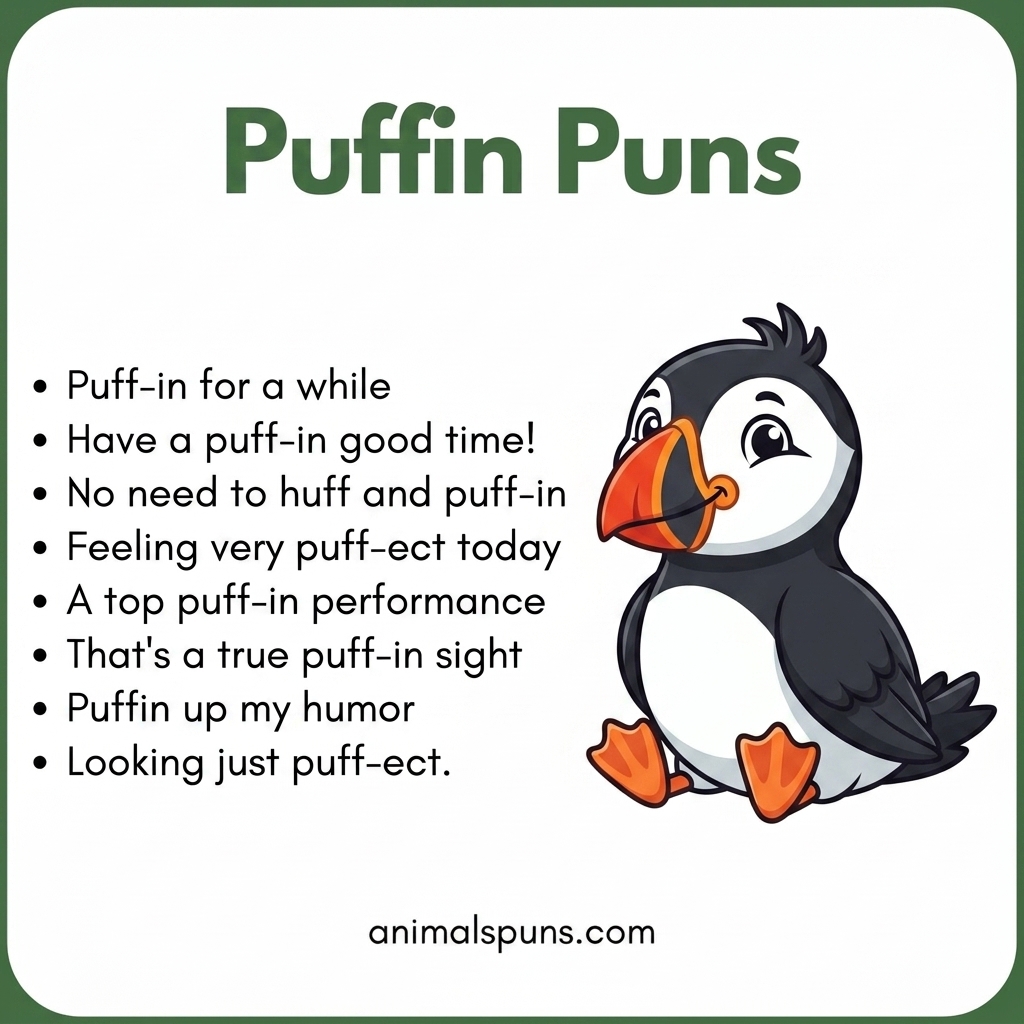 Puffin Puns