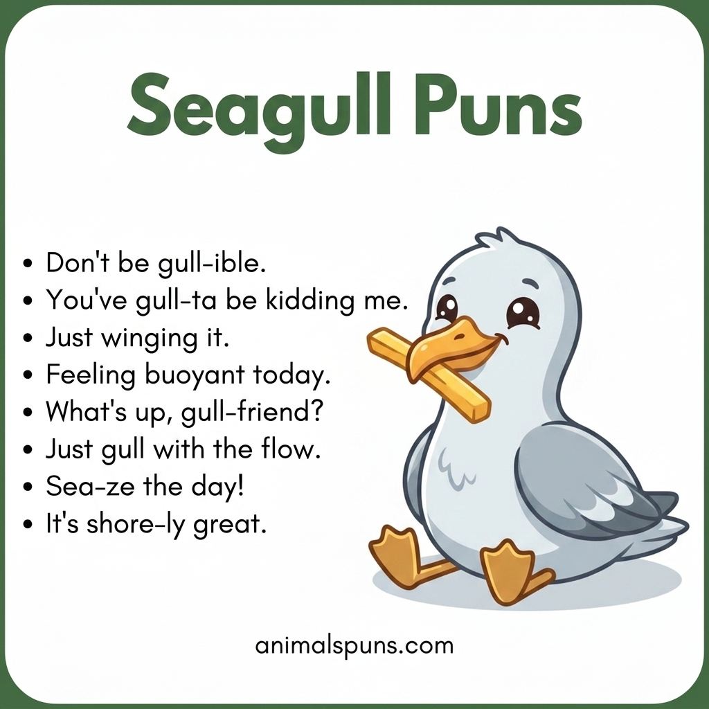 Seagull Puns